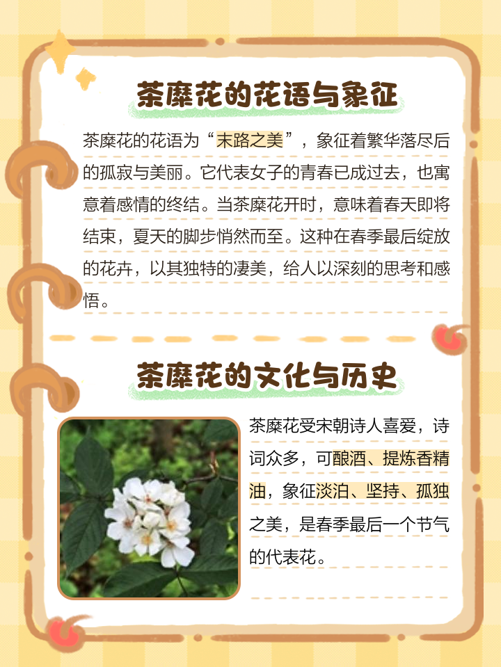 茶糜花